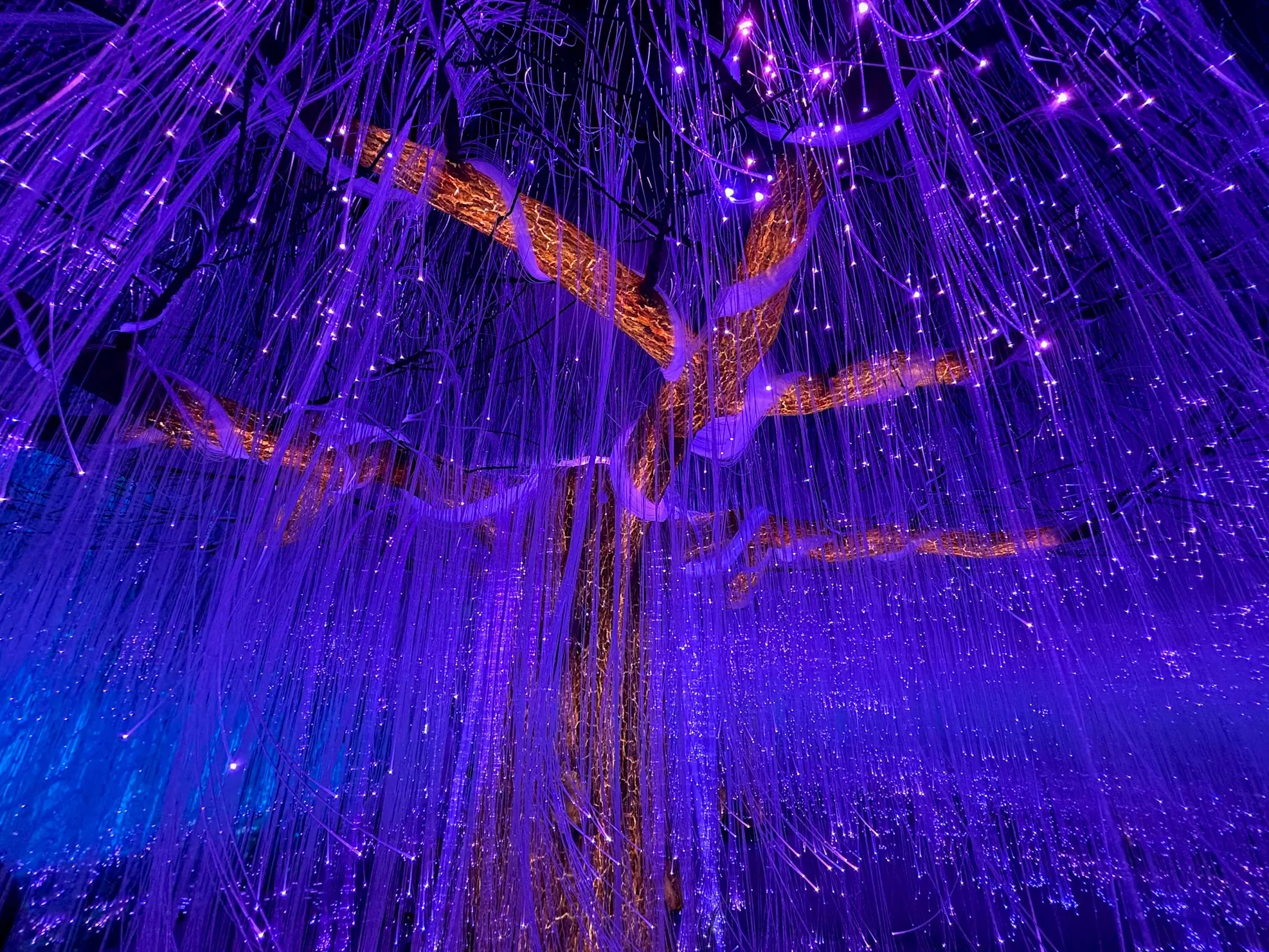 teamLab Botanical Garden